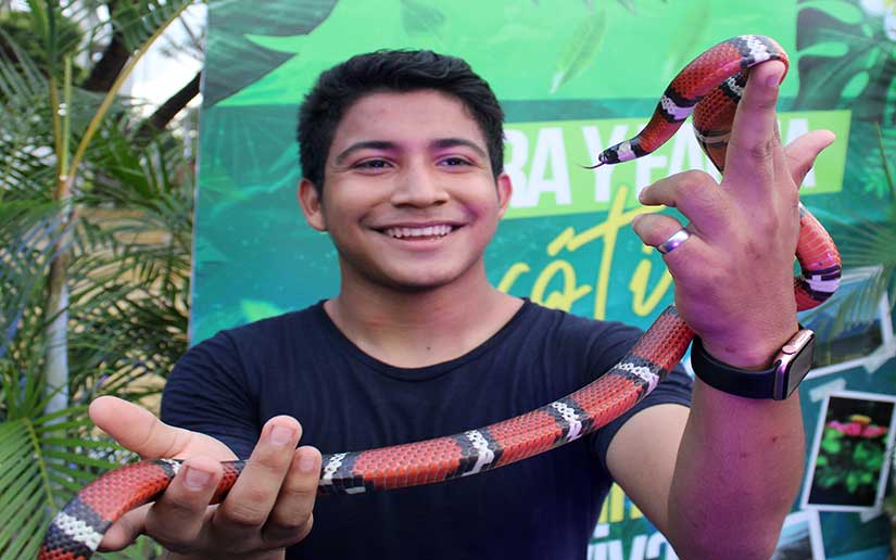 juventud